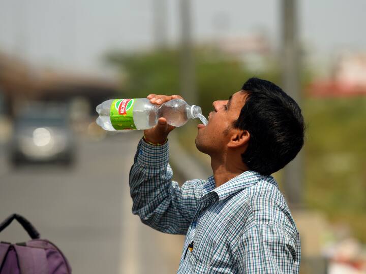 Delhi Heatwave: भीषण गर्मी से दिल्लीवासियों को जल्द मिलेगी राहत, ये है बड़ी वजह IMD scientist says Delhiites get relief from scorching heatwave soon Know big reason ann Delhi Heatwave: भीषण गर्मी से दिल्लीवासियों को जल्द मिलेगी राहत, ये है बड़ी वजह