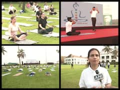 G20 Delegates Participate In Yoga Session Ahead Of 2nd Health Working Group Meeting — IN PICS