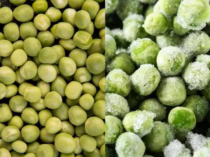 Frozen vegetables are good for health or fresh vegetables are good for health know from experts Frozen Vegetables VS Fresh Vegetables: फ्रोजन भाज्या की ताज्या भाज्या?...आरोग्यासाठी काय लाभदायक? तज्ज्ञांकडून जाणून घ्या उत्तर