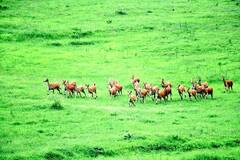 In Pics: UNESCO के विश्व विरासत स्थलों में शामिल होंगी MP की चार नई हेरिटेज साइट्स, तस्वीरों में देखें झलकी