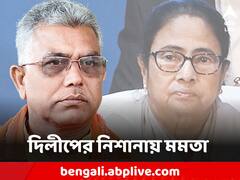 যতদিন আয়ের সুযোগ আছে, ততদিনই MLA-MP'রা দিদির সঙ্গে আছেন, দাবি দিলীপের