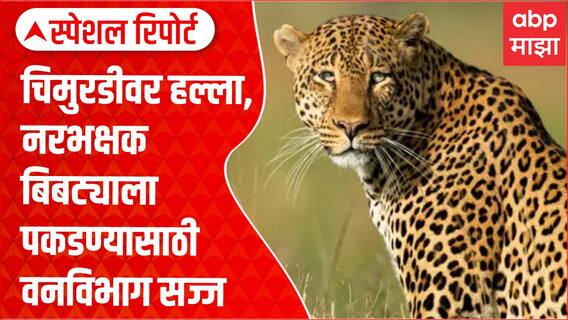Nashik Trimbakeshwar : चिमुरडीवर हल्ला, नरभक्षक बिबट्याला पकडण्यासाठी वनविभाग सज्ज Special Report