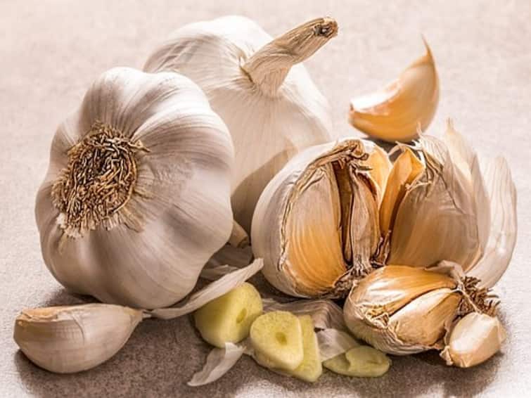 side effects of garlic increased risk of low blood pressure Garlic Side effects: तुम्ही भाजीत जास्त प्रमाणात लसूण वापरताय? आरोग्यावर होईल 'असा' परिणाम