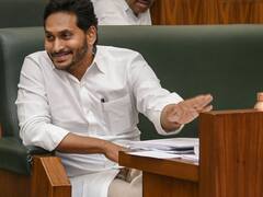 कुत्ते ने फाड़ा आंध्र प्रदेश के CM जगन मोहन रेड्डी का पोस्टर, गिरफ्तारी की उठी मांग