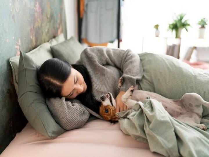 health tips sleeping in ac room with dog cat is good or bad know its side effects क्या आप भी कुत्ते या बिल्ली के साथ एसी रूम में सोते हैं? अगर हां, तो इस खबर को पढ़कर चौंक जाएंगे आप