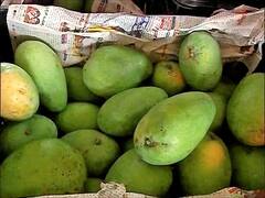 Nagpur Mango : नागपूरच्या कळमना कृषी उत्पन्न बाजारसमितीत एक किलो आंब्यांची चर्चा