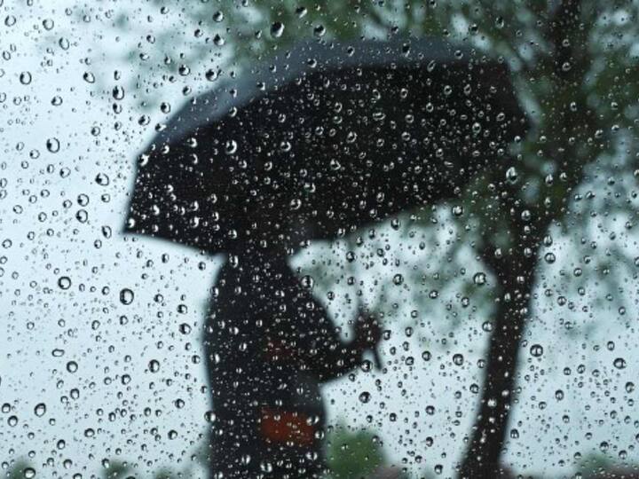 The weather office said intermittent rains will continue until Friday in Srinagar. Light to moderate rains has been predicted at several places on Wednesday as well. (Image: AFP)