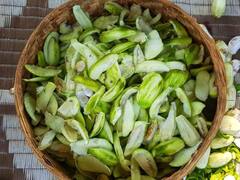 बेमौसम बारिश से आम की फसलों को नुकसान, विदेश के बाजारों में बस्तर के अमचूर की रहती है डिमांड