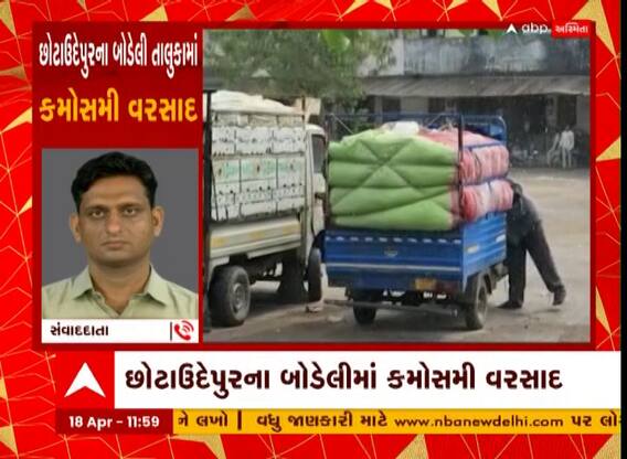 Chhotaudepur : બોડેલી પંથકમાં કમોસમી વરસાદ, APMCમાં પલળી ગયો કપાસનો પાક