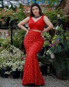 Honey Rose: రెడ్ రోజ్ అందంతో పోటీ పడుతున్న హనీ రోజ్