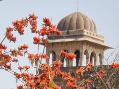 In Pics: UNESCO के विश्व विरासत स्थलों में शामिल होंगी MP की चार नई हेरिटेज साइट्स, तस्वीरों में देखें झलकी