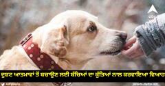 Minors Married To Dogs: ਦੁਸ਼ਟ ਆਤਮਾਵਾਂ ਤੋਂ ਬਚਾਉਣ ਲਈ ਬੱਚਿਆਂ ਦਾ ਕੁੱਤਿਆਂ ਨਾਲ ਕਰਵਾਇਆ ਵਿਆਹ, ਇਸ ਸੂਬੇ 'ਚ ਹੈ ਅਜੀਬ ਪਰੰਪਰਾ