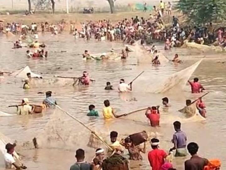 Chhattisgarh Tribals worship Jalkamini ancient tradition of fishing together in pond ann Chhattisgarh: आदिवासी करते हैं जलकामिनी की पूजा, तालाब में एक साथ मछली पकड़ने की है पुरातन परंपरा