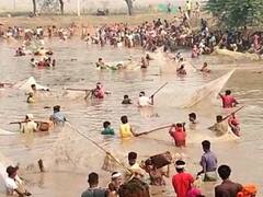आदिवासी करते हैं जलकामिनी की पूजा, तालाब में एक साथ मछली पकड़ने की है पुरातन परंपरा