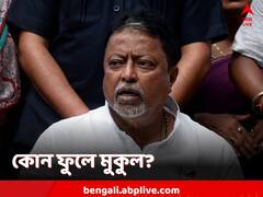 'বিজেপিতে গিয়ে রাজনীতি করব', এবিপি আনন্দে Exclusive মুকুল! আর কী জানালেন?