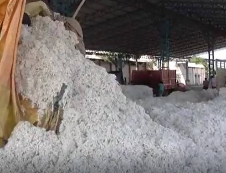 नंदुरबार  जिल्ह्यात एक लाख 16 हजार हेक्टर क्षेत्रावर कापसाची लागवड करण्यात आली होती. मात्र गेल्या वर्षाच्या तुलनेत यावर्षी कापसाला मिळणारा दर कमी असल्यानं शेतकऱ्यांनी आपला कापूस घरातच साठवून ठेवण्यावर भर दिला होता