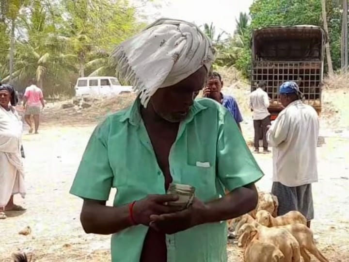 ரம்ஜான் பண்டிகைக்கு  போதுமான அளவுக்கு விற்பனை ஆகாத ஆடுகள் - கரூர் வியாபாரிகள் கவலை