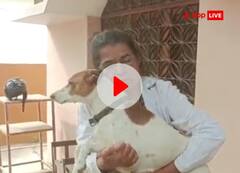 जबलपुर में खुशी का डबल डोज, डॉग खोजने वाले को एक लाख का इनाम, जानें इस रकम से युवक ने क्या किया