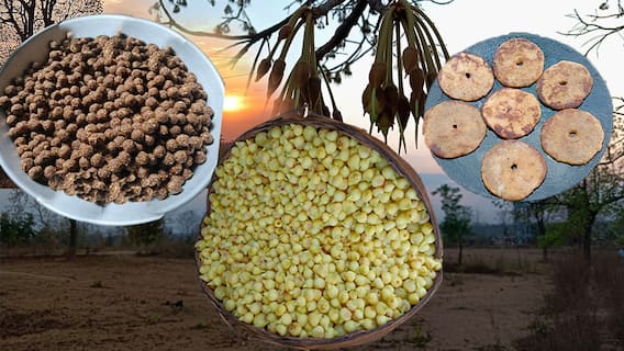 Ippa Puvvu Special Dishes : Adilabad Tribal విలేజ్స్ లో ఇప్పపూవే జీవనాధారం | DNN | ABP Desam