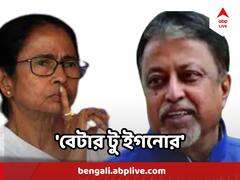 'উনি তো বিজেপির MLA', মুকুল প্রসঙ্গে আর কী বললেন মমতা