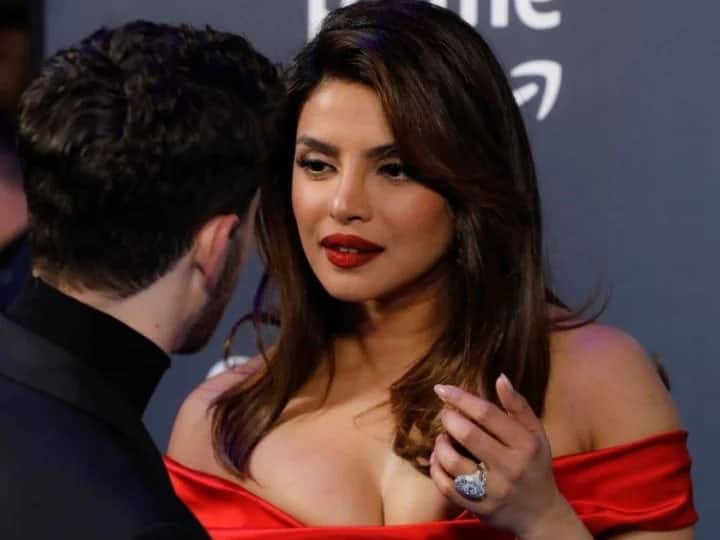 Nick Jonas Crazy About Priyanka Chopra's Red Dress Appearance at Citadel Global Premiere