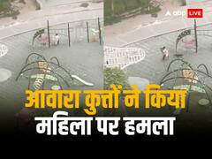 नोएडा की पॉश सोसाइटी में कुत्तों का आतंक, पार्क में टहल रही महिला पर किया हमला, भाग कर बचाई जान