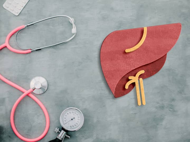 World Liver Day 2023 Should Healthy People Get Their Liver Tested Even If There Are No Symptoms Know What Experts Say World Liver Day: Should Healthy People Get Their Liver Tested Even If There Are No Symptoms? Know What Experts Say