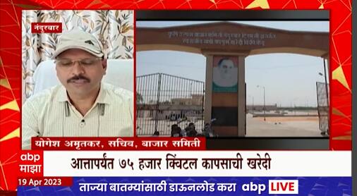 Nandurbar : नंदुरबारमध्ये बाजार समितीत कापसाची आवक वाढली