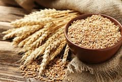 Fiber Rich Foods: เชเซเชตเชจเชญเชฐ เชซเชฟเช เชเชจเซเชก เชซเชพเชเชจ เชฐเชนเซเชตเชพ เชฎเชพเชเซ เชกเชพเชฏเชเชฎเชพเช เชธเชพเชฎเซเชฒ เชเชฐเซ เช เชซเชพเชเชฌเชฐเชฅเซ เชฐเชฟเช เชซเซเชก