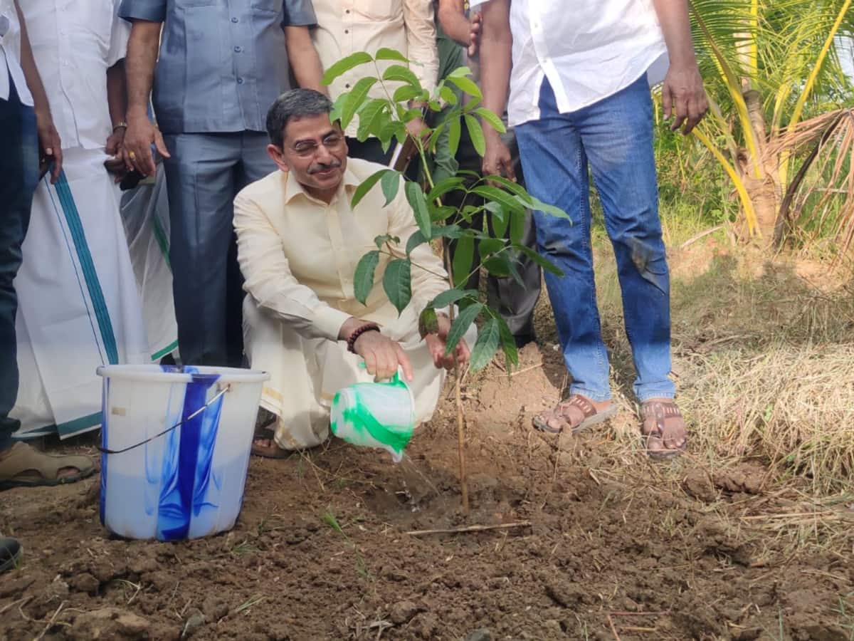 IN PICS: TN Guv RN Ravi Meets Organic Farmers In Ramnad, Plants Mahogany Sapling