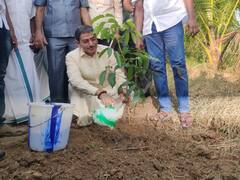 IN PICS: TN Guv RN Ravi Meets Organic Farmers In Ramnad, Plants Mahogany Sapling