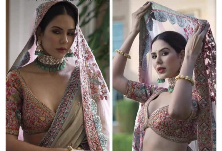 sonam bajwa shares her new video on social media watch her royal look Sonam Bajwa: ਸੋਨਮ ਬਾਜਵਾ ਦੇ ਸ਼ਾਹੀ ਲੁੱਕ ਦੇ ਕਾਇਲ ਹੋਏ ਫੈਨਜ਼, ਵੀਡੀਓ ਦੇਖ ਤੁਸੀਂ ਵੀ ਕਹੋਗੇ, 'ਕਿਆ ਬਾਤ ਏ ਸੋਨਮ'