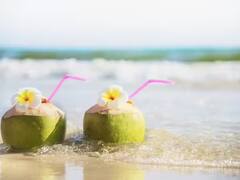 Summer Health Tips: ગરમીમાં નારિયેળ પાણી પીવાના અદભૂત છે ફાયદા, ડાયટ રૂટીનમાં અચૂક કરો સામેલ