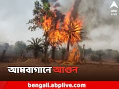 ভয়াবহ আগুনের গ্রাসে বাঁকুড়ার আমবাগান !