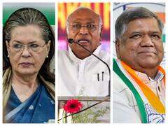 Karnataka Polls: Sonia Gandhi, Rahul, Shettar Among Congress' Star Campaigners, Pilot's Name Missing