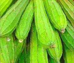 Turai Benefits:ગરમીમાં તુરિયાના શાકનું અચૂક કરો સેવન, વેઇટ લોસ સહિત આ રોગમાં છે ઔષધ સમાન