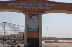 Cotton : नंदुरबार बाजार समितीत 75 हजार क्विंटल कापसाची खरेदी