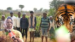 Hyderabad Outskirts Tiger Tension: భౌరంపేటలో రాత్రయితే చాలు.. పులి హడల్..!