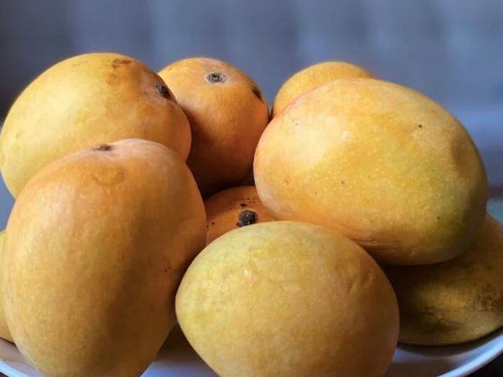 Soak mango benefits Should you really eat soaked mangoes in water or not know क्या सच में आपको आम पानी में भिगोकर खाना चाहिए या नहीं? जरूर जान लीजिए