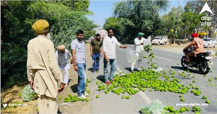 Farmers threw capsicum on the roads due to low prices in Mansa ਕਿਸਾਨਾਂ ਦੀ ਜੂਨ ਬੁਰੀ...ਦਿਨ-ਰਾਤ ਇੱਕ ਕਰ ਸ਼ਿਮਲਾ ਮਿਰਚ ਦੀ ਕੀਤੀ ਕਾਸ਼ਤ..ਰੇਟ 1 ਰੁਪਏ ਤੱਕ ਹੇਠਾਂ ਪਹੁੰਚਿਆ...ਹੁਣ ਸੜਕਾਂ 'ਤੇ ਸੁੱਟ ਰਹੇ ਮਿਰਚਾਂ