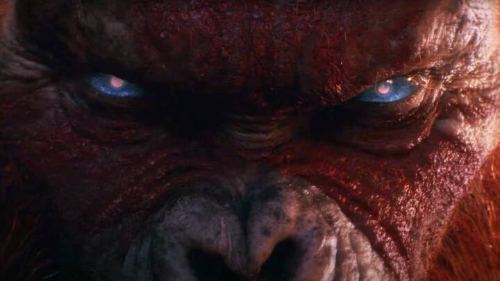 இதனை, லெஜன்டரி பிக்சர்ஸ் என்ற நிருவனம் தயாரிக்கவுள்ளது. புதிதாக உருவாகவுள்ள இந்த படத்திற்கு காட்ஸில்லா X காங் தி நியூ எம்பையர் என பெயரிடப்பட்டுள்ளது. படத்தின் சிறிய டீசரும் டைட்டிலுடன் சேர்த்து வெளியானது.