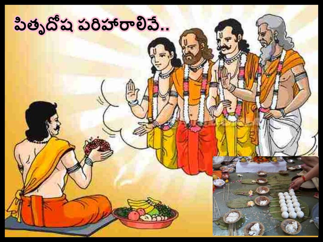 Pitrudosha: mistakes made by fore fathers means pitru dosha, know how the impact will be on the present generations Pitrudosha: వంశపారపర్య ఆస్తులతో పాటూ పాపాలూ వెంటే వస్తాయి, వాటినుంచి విముక్తి పొందాలంటే!