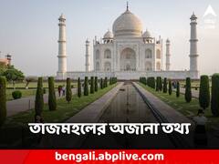 নাম তাজমহল হলেও কিন্তু আসলে 'মহল' নয়! জানেন এটি আদতে কী?