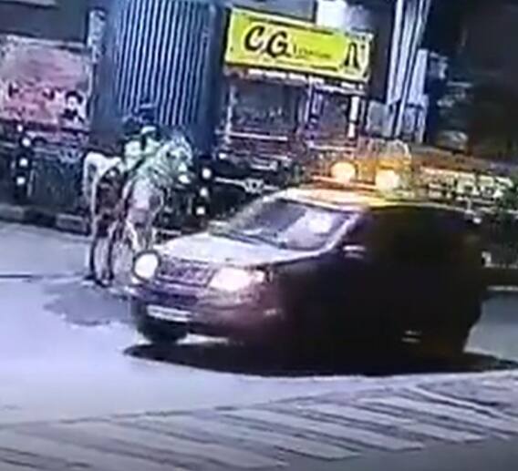 तेज रफ्तार बाइक ने घोड़े को मारी टक्कर, देखिये फिर क्या हुआ?