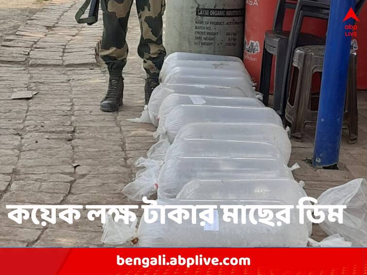 North 24 Parganas News BSF seizes bags full of Fish eggs worth several lakh of rupees BSF: পাচার হচ্ছিল বাংলাদেশে, কয়েক লক্ষের মাছের ডিম উদ্ধার করল BSF