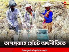 তাপপ্রবাহে ধাক্কা কৃষি-স্বাস্থ্যে, বড়সড় হোঁচট ভারতের অর্থনীতিতে! আশঙ্কা রিপোর্টে