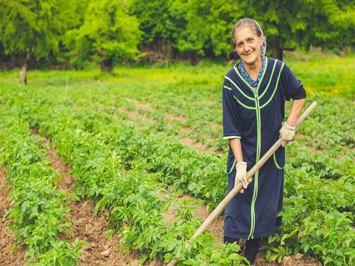 Government Scheme: मध्यप्रदेश में इस योजना से महिलाओं को हर महीने मिलेंगे 1000 रुपये, आवेदन की ये है आखिरी तारीख Mukhyamantri Ladli Behna Yojana has been started in Rajasthan Government Scheme: मध्यप्रदेश में इस योजना से महिलाओं को हर महीने मिलेंगे 1000 रुपये, आवेदन की ये है आखिरी तारीख