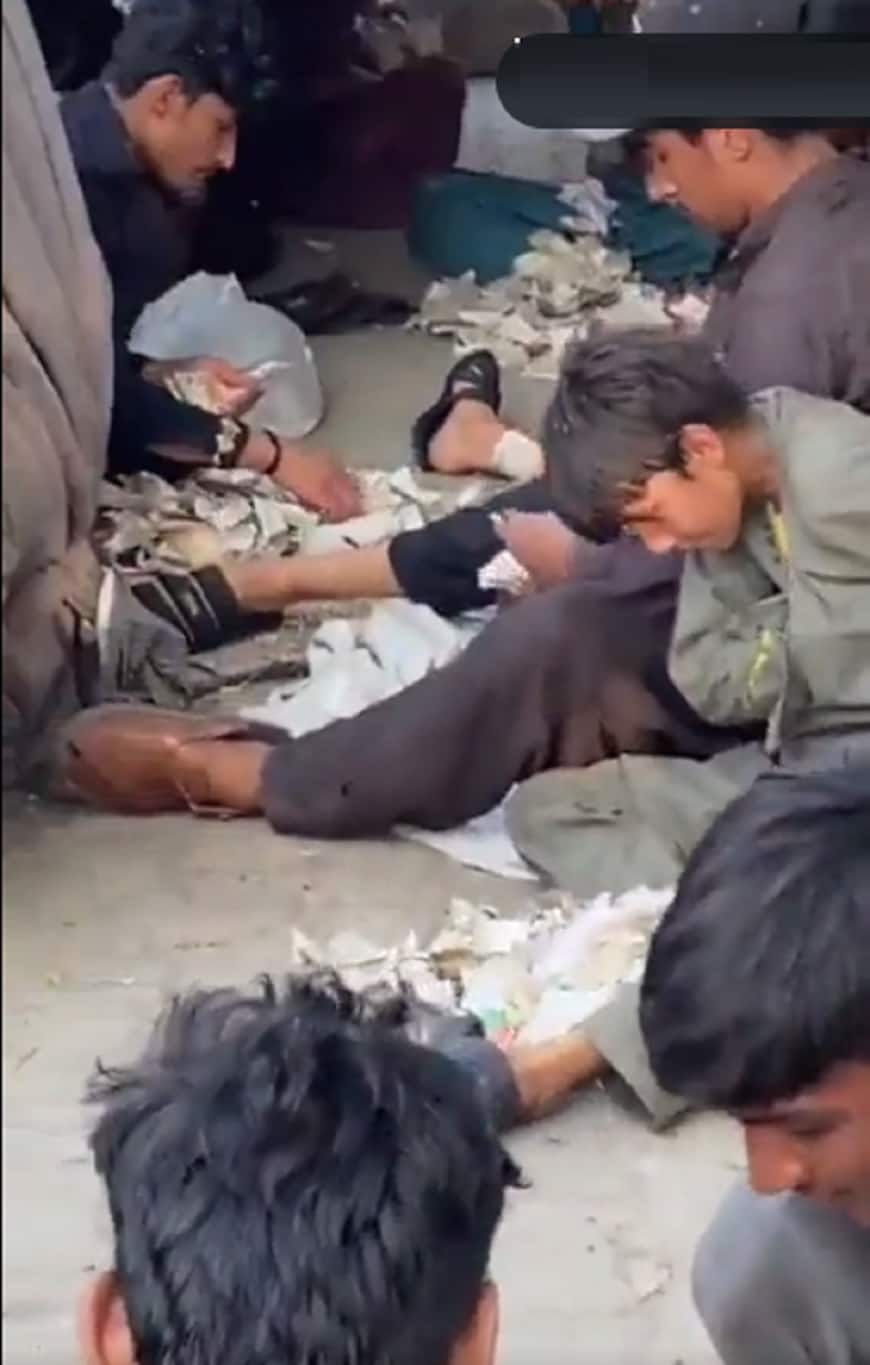 पाकिस्तान में डिग्री वालों से ज्यादा भिखारियों की कमाई! वायरल वीडियो में बरसते दिखे पैसे 2 c85a9892e8e9fe18990a71eaa86bf2e51681969928571636 original