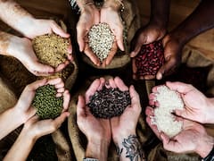 Agriculture Growth: ये ऐप झट से बता देगा बीज असली है या नकली... केंद्र सरकार की ये है तैयारी