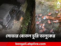 গরমে কাহিল, গাড়ির জানলা ভেঙে ৬৯টি সোডার বোতল চুরি ভালুকের
